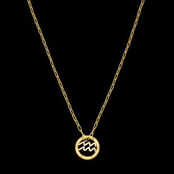 Aquarius Zodiac Symbol Necklace