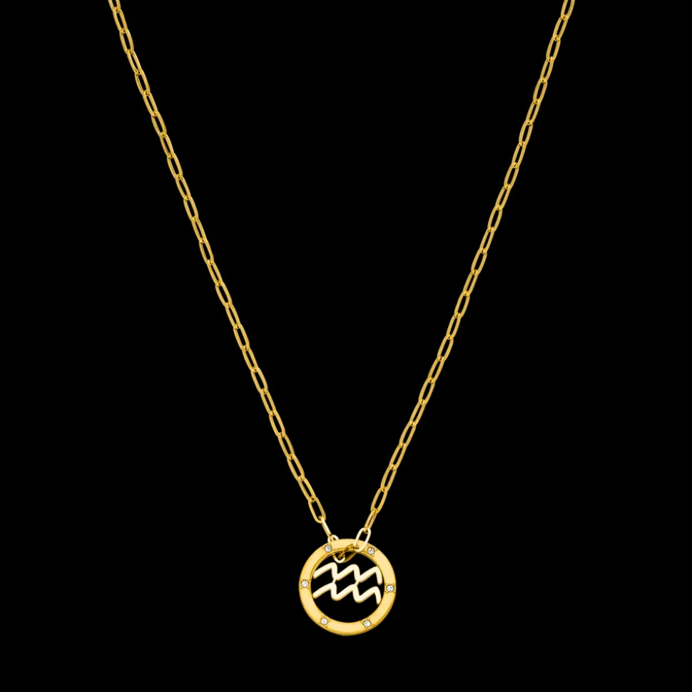 Aquarius Zodiac Symbol Necklace