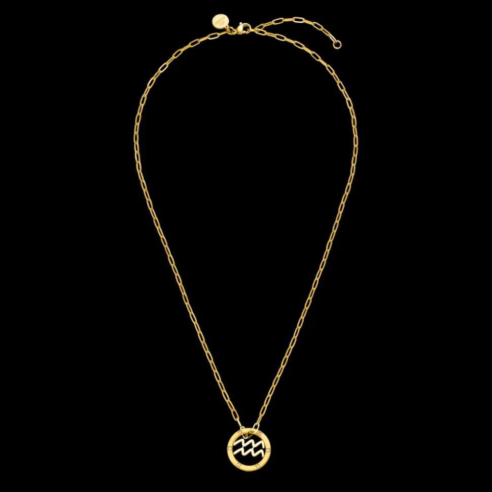 Aquarius Zodiac Symbol Necklace