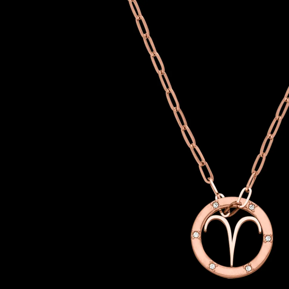 Aries Zodiac Symbol Necklace