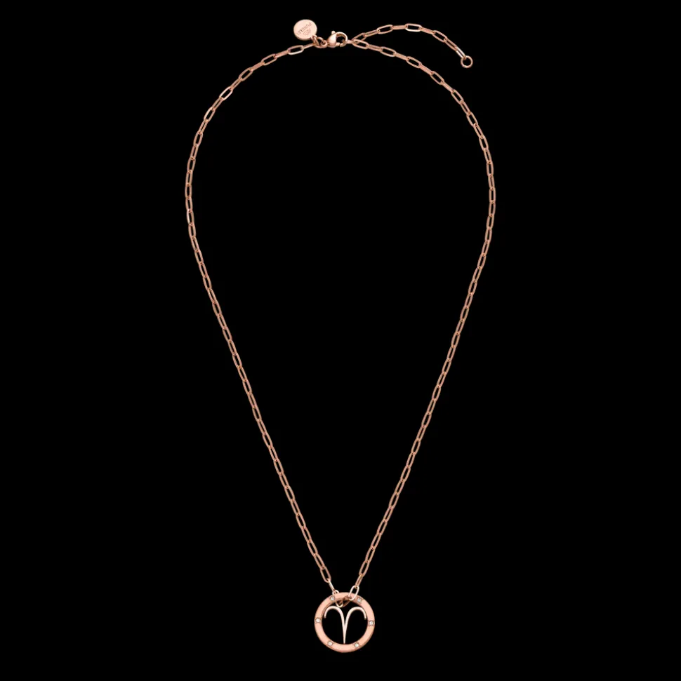 Aries Zodiac Symbol Necklace