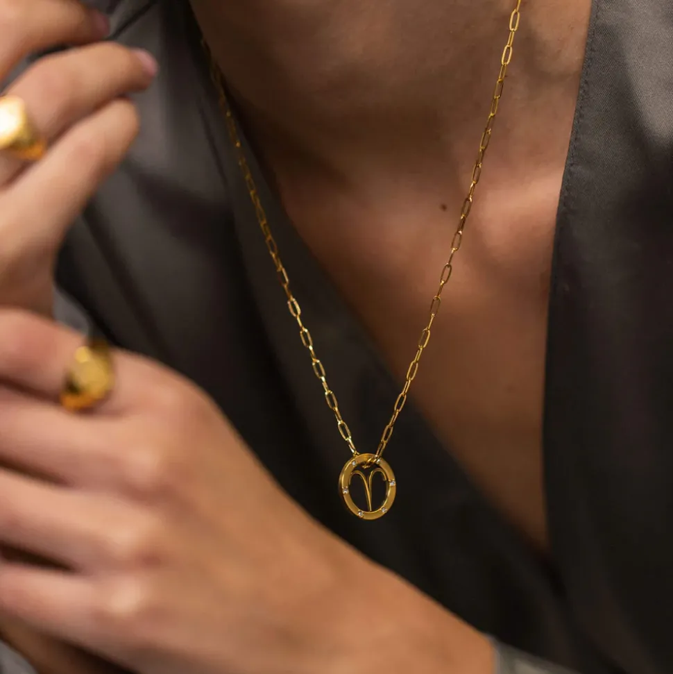 Aries Zodiac Symbol Necklace