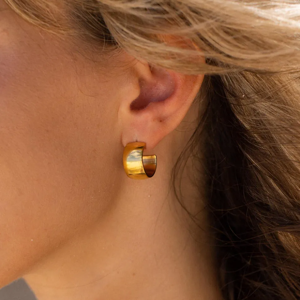 Bold Earrings