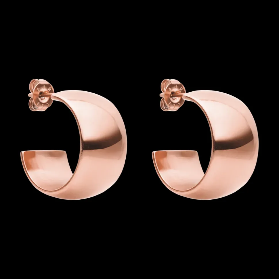 Bold Earrings