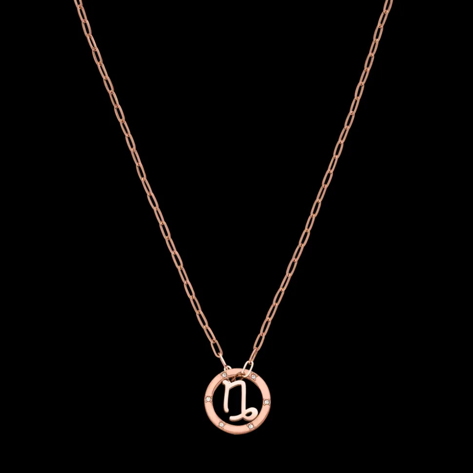 Capricorn Zodiac Symbol Necklace