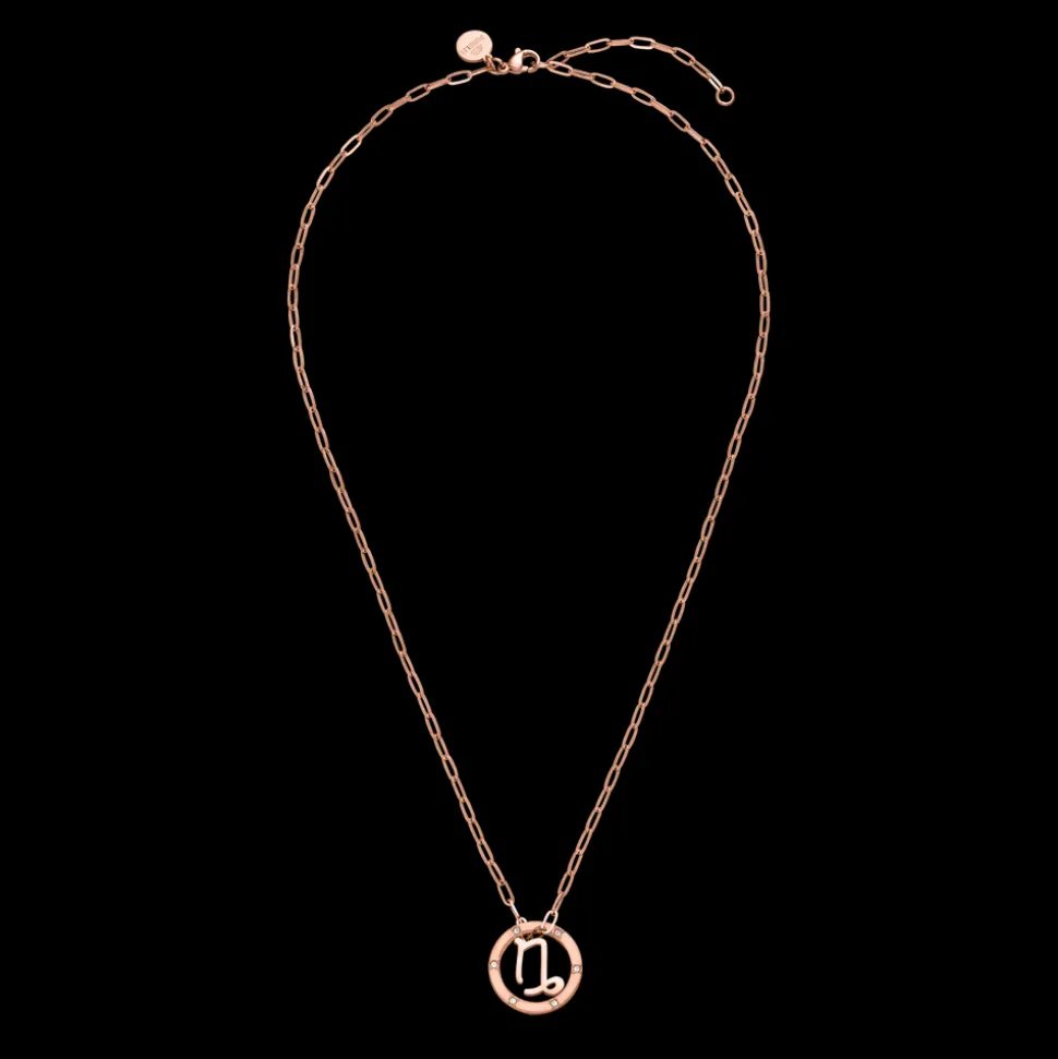 Capricorn Zodiac Symbol Necklace