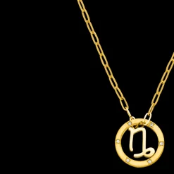 Capricorn Zodiac Symbol Necklace