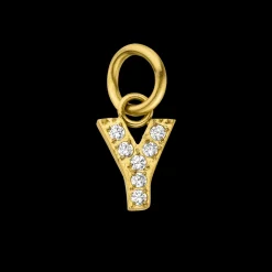 Charm Glitter Y
