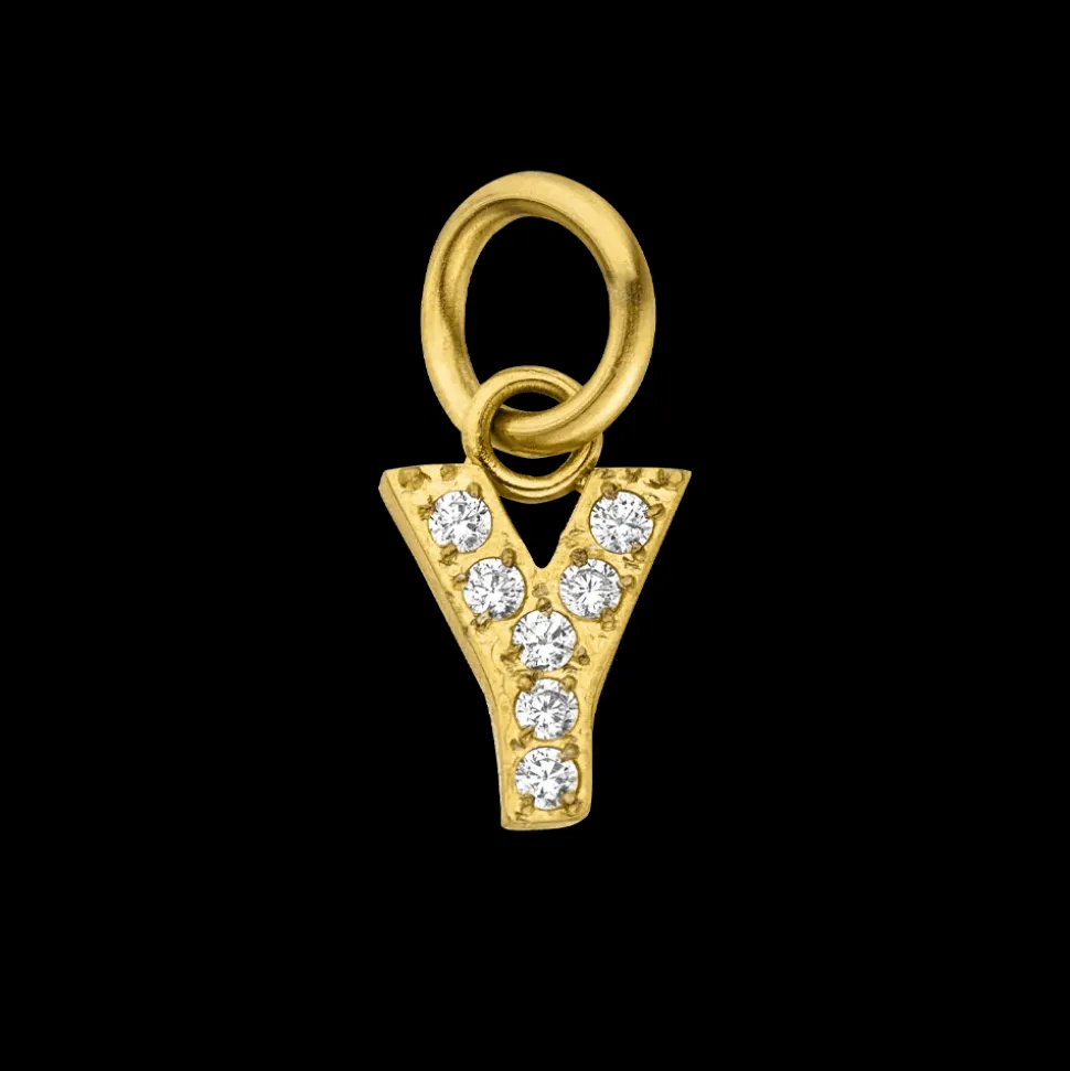 Charm Glitter Y