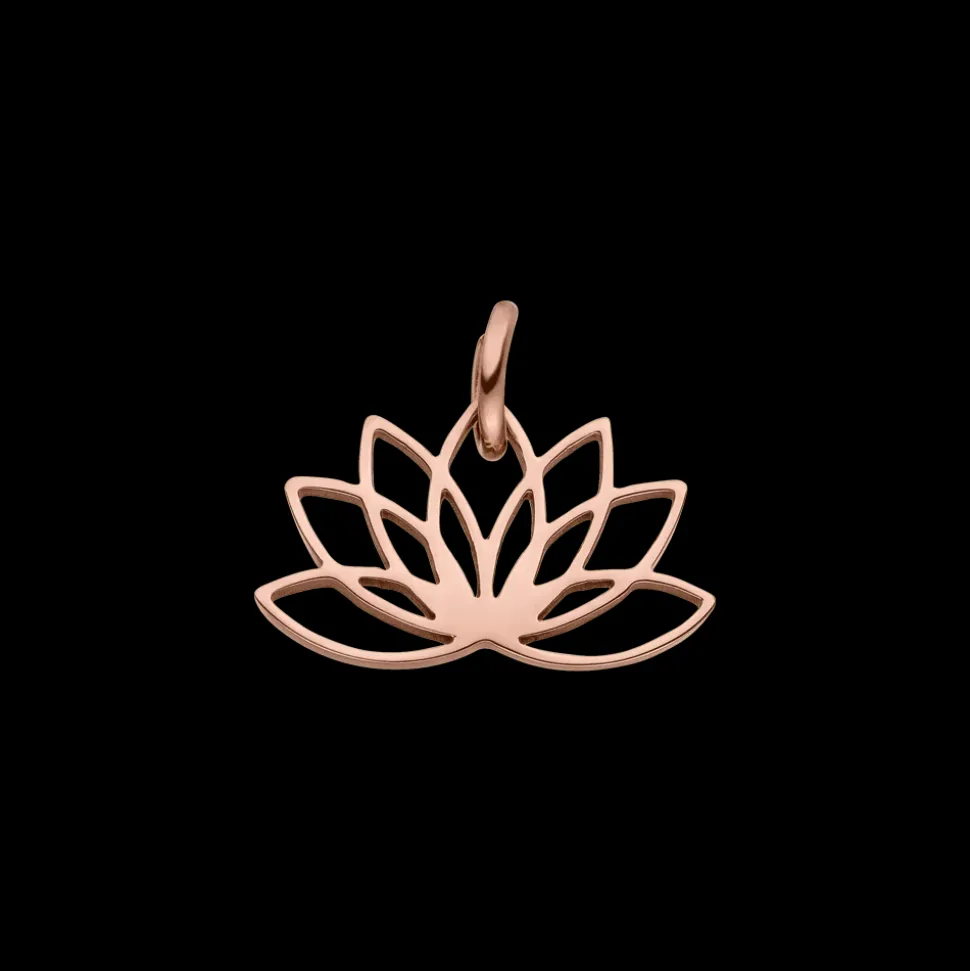 Charm Lotus