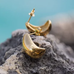 Drop Earrings
