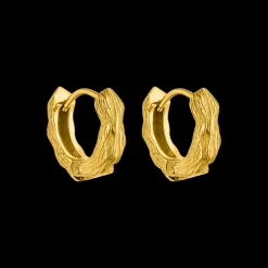 Earrings Brushed