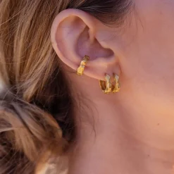 Earrings Brushed