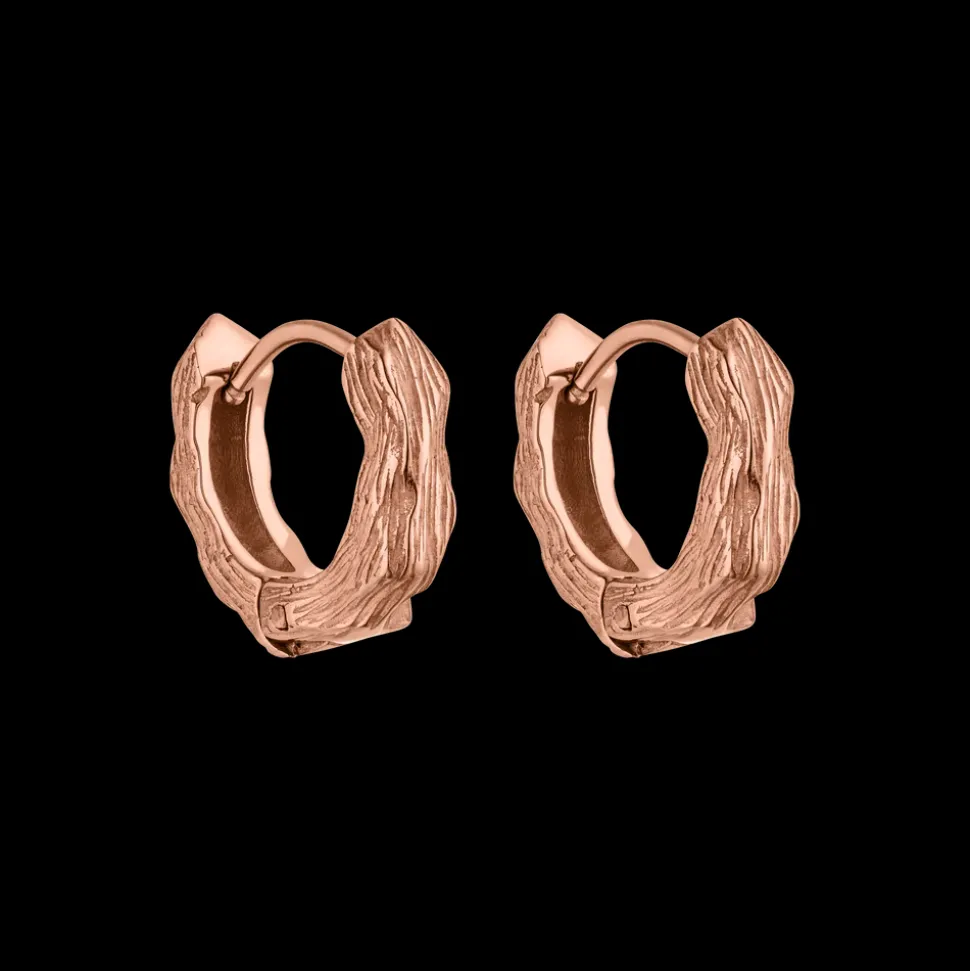 Earrings Brushed