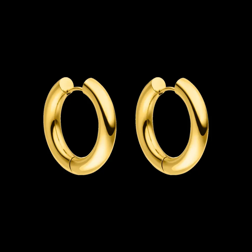 Earrings Glamorous