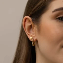 Earrings Glitter Heart