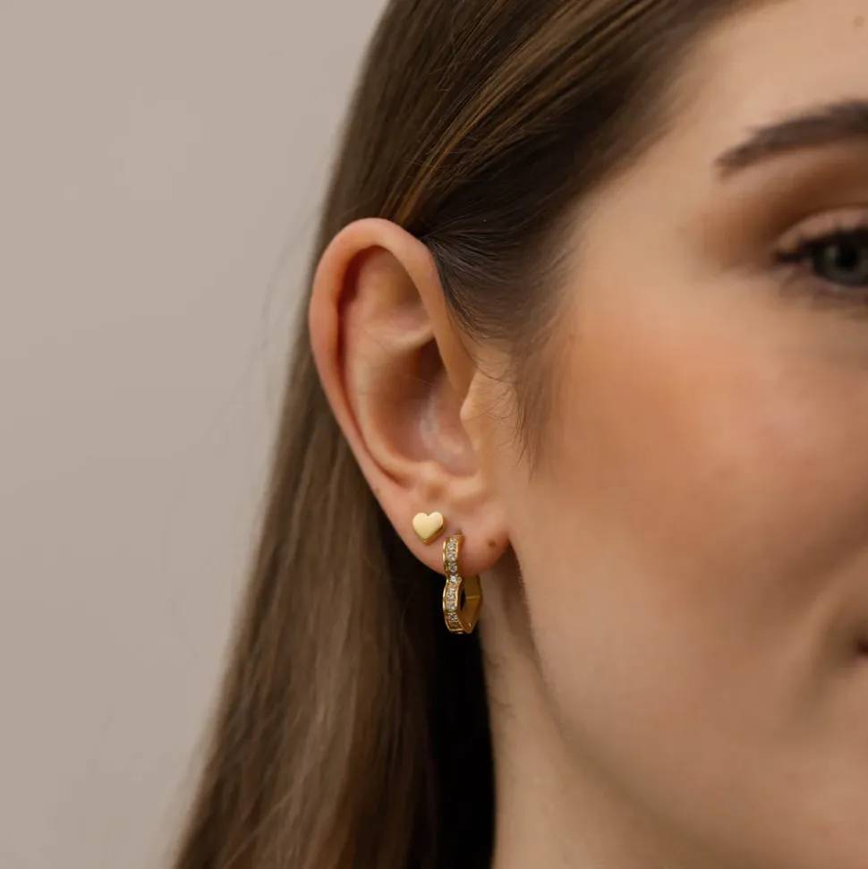 Earrings Glitter Heart