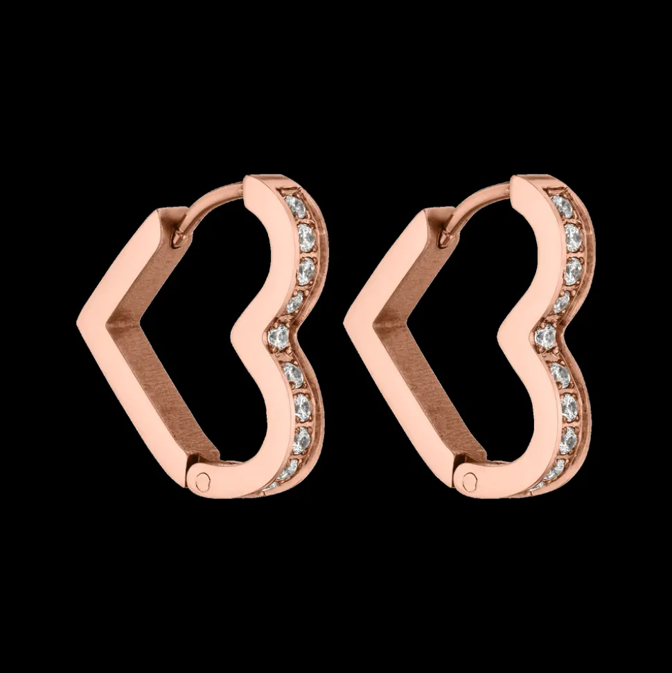 Earrings Glitter Heart