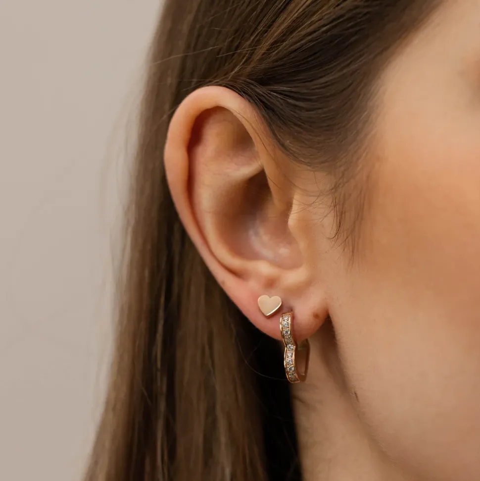 Earrings Glitter Heart
