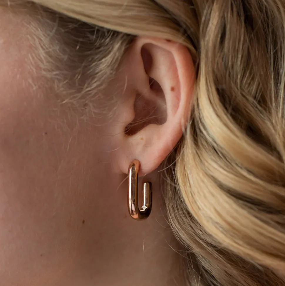 Earrings Hula