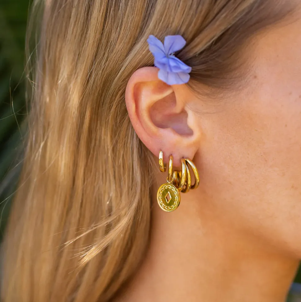 Earrings Ike
