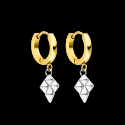 Earrings Kudos