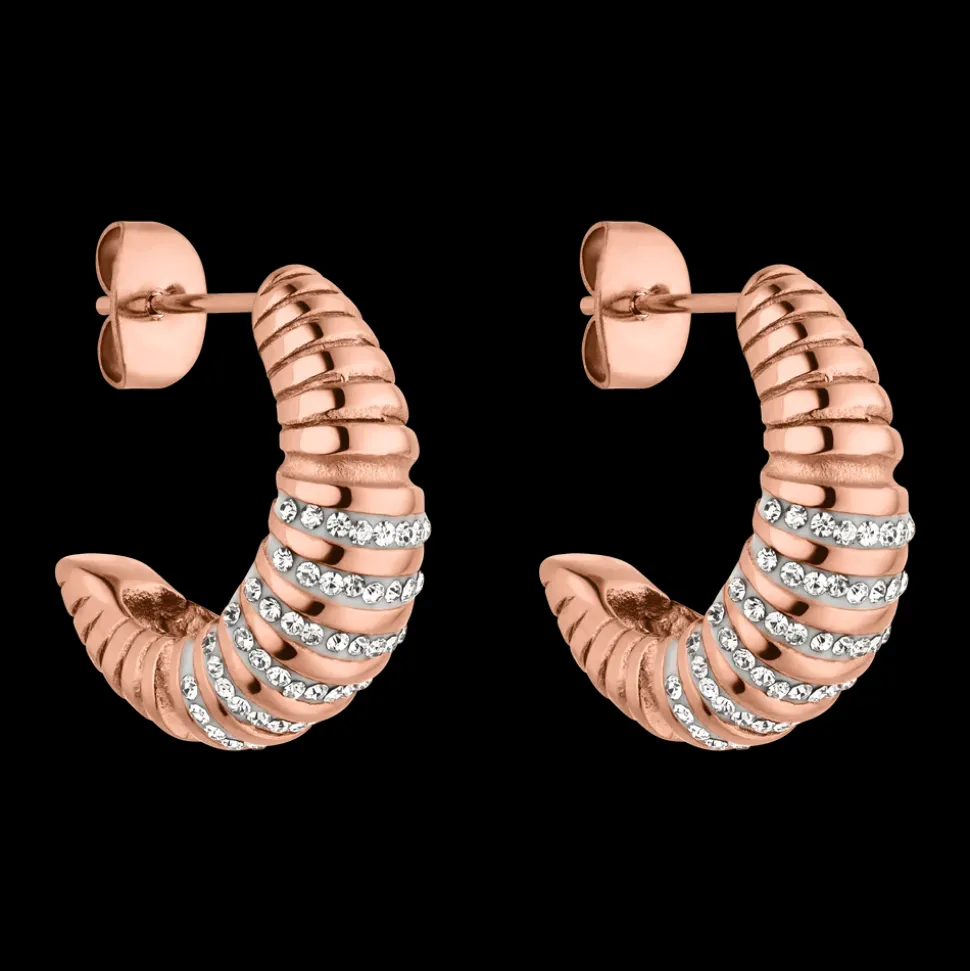 Earrings Pure Sparkle