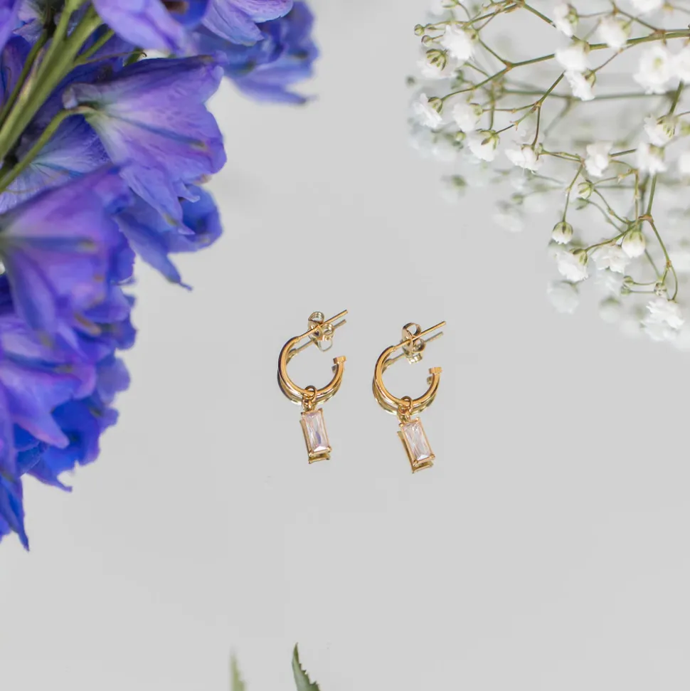 Earrings Shine Bright