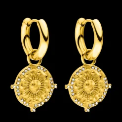 Earrings Treasure
