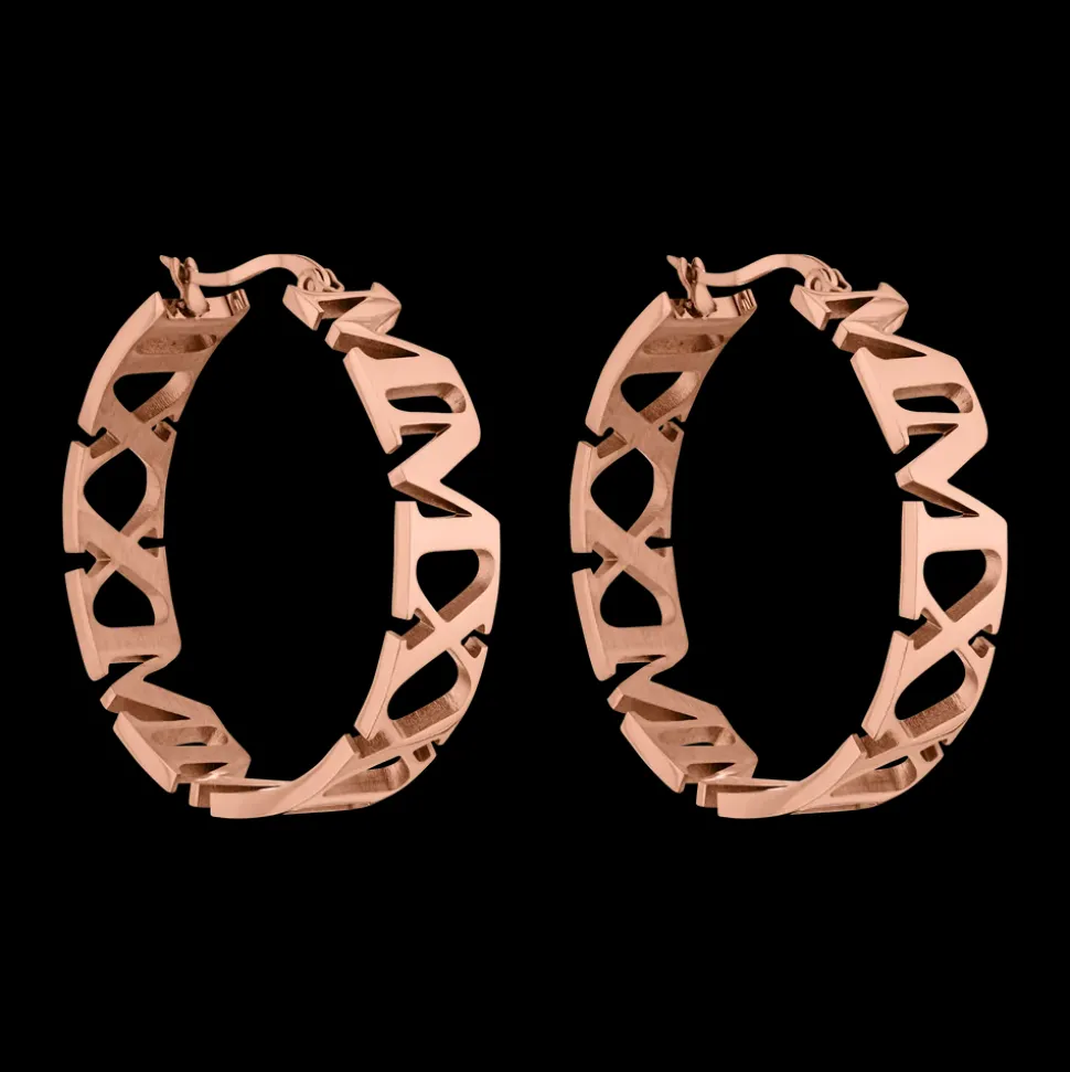 Earrings Vida