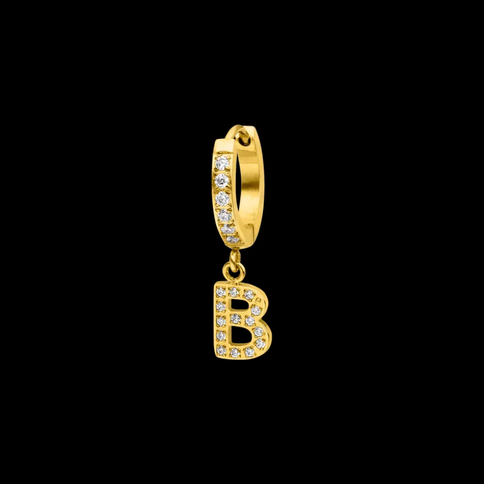 Hoop Earring B