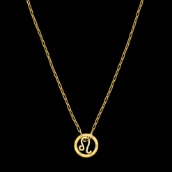 Leo Zodiac Symbol Necklace