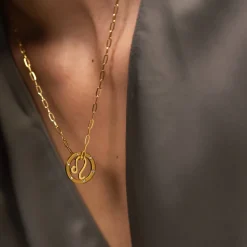Leo Zodiac Symbol Necklace