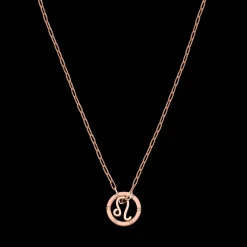 Leo Zodiac Symbol Necklace