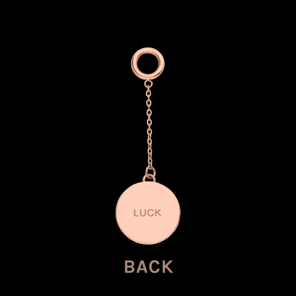 Luck Charm