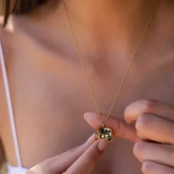 Necklace Elegance Medallion