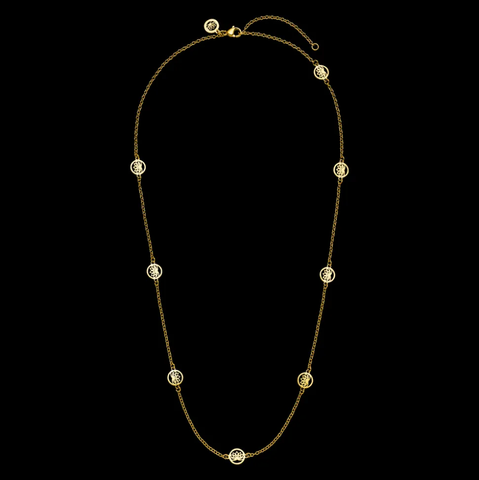 Necklace Recognition