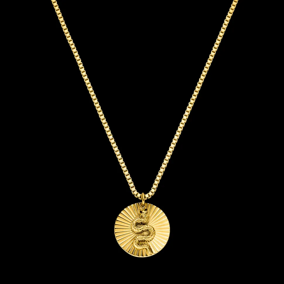 Necklace Snake Coin