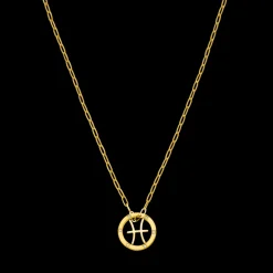 Pisces Zodiac Symbol Necklace