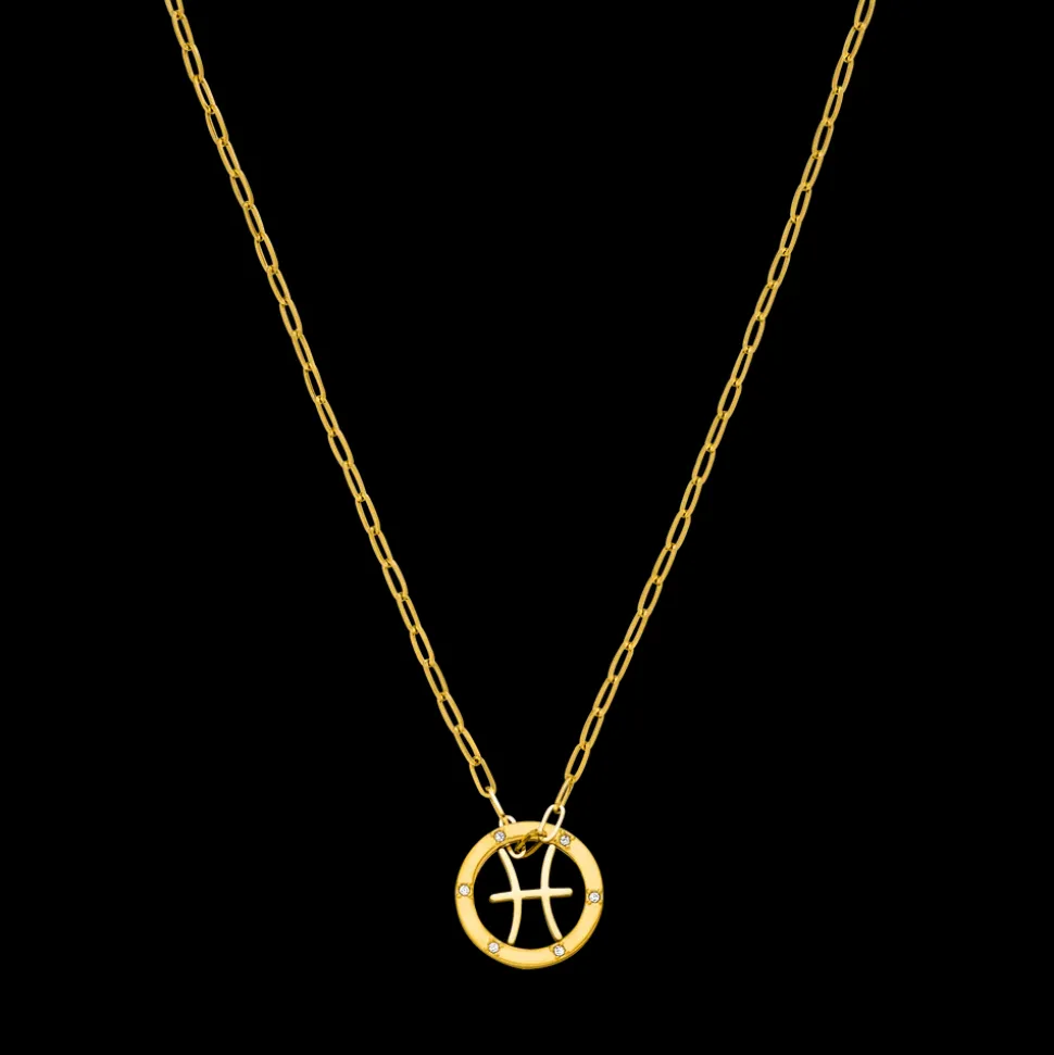 Pisces Zodiac Symbol Necklace