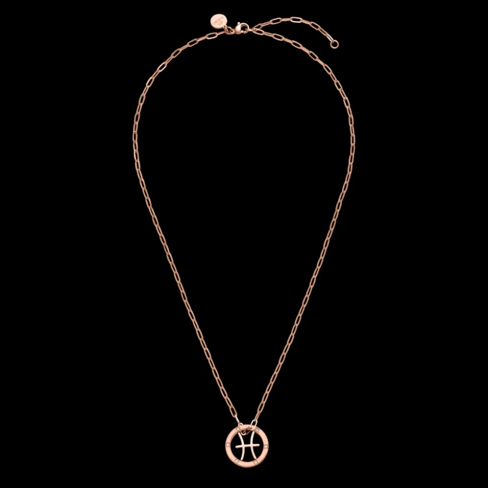 Pisces Zodiac Symbol Necklace