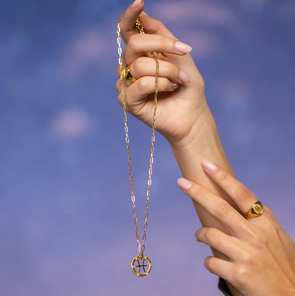 Pisces Zodiac Symbol Necklace