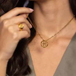 Pisces Zodiac Symbol Necklace