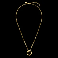 Pisces Zodiac Symbol Necklace