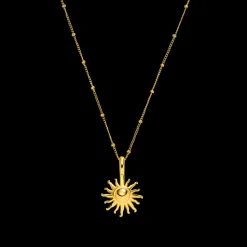 Purelei × Newsha Box
