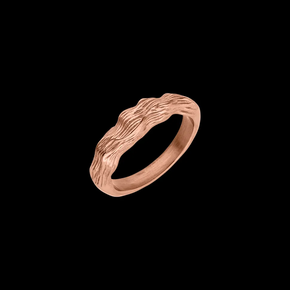 Ring Brushed