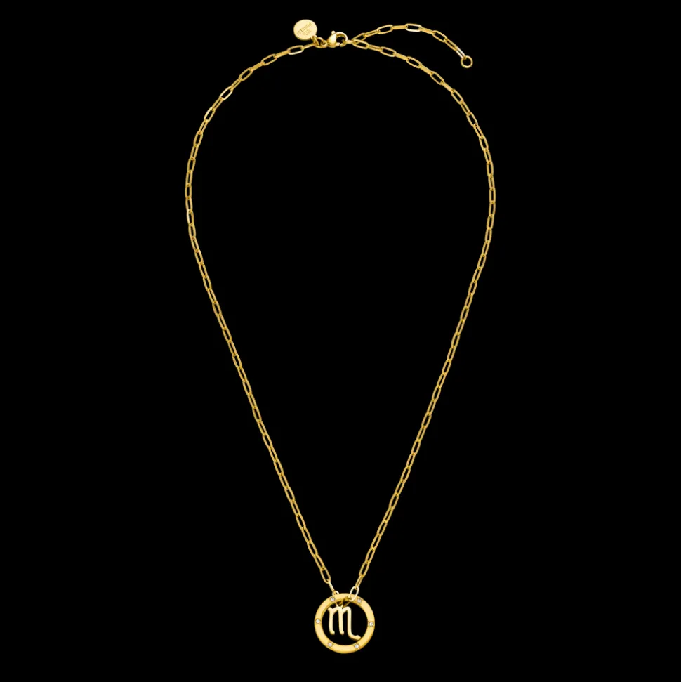 Scorpio Zodiac Symbol Necklace