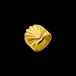 Shell Ring