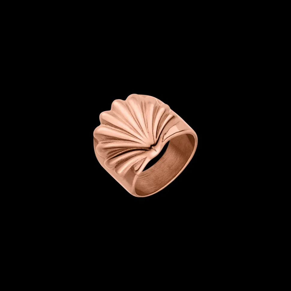 Shell Ring