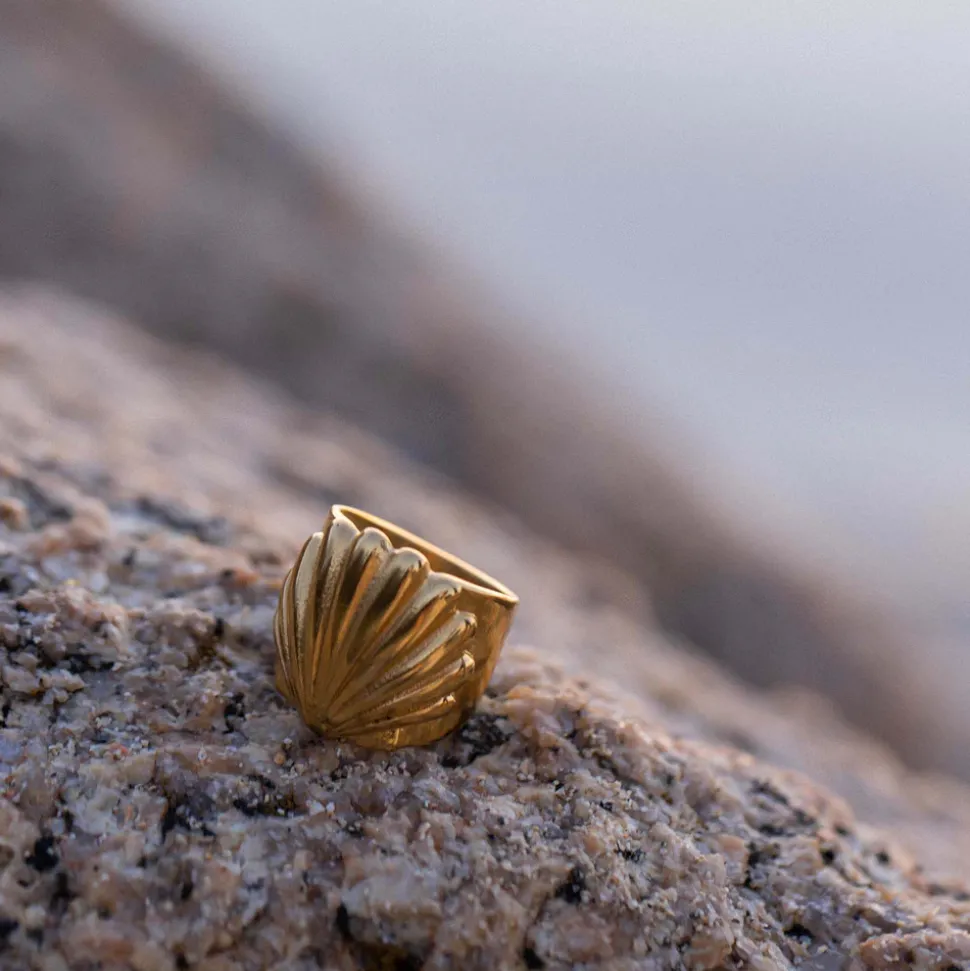 Shell Ring
